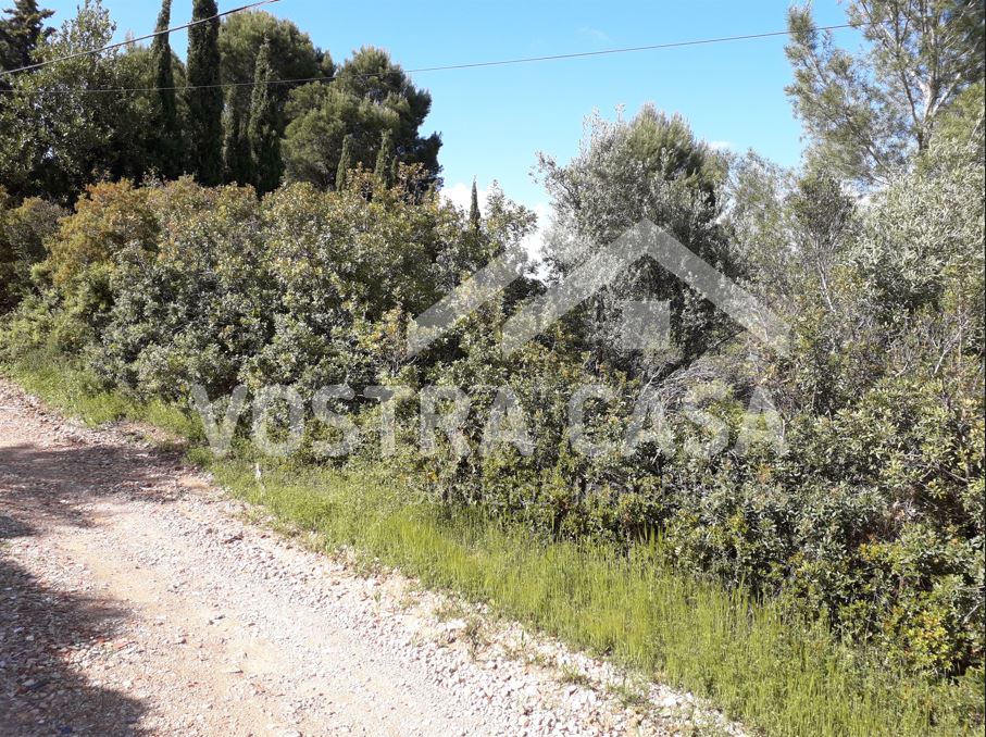 Imagen 2 de Buñol