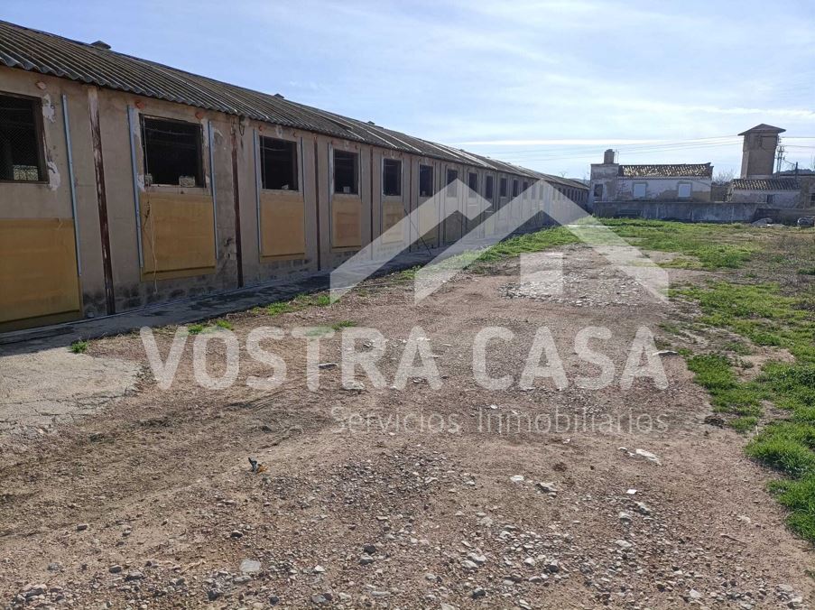 Imagen 3 de Chiva