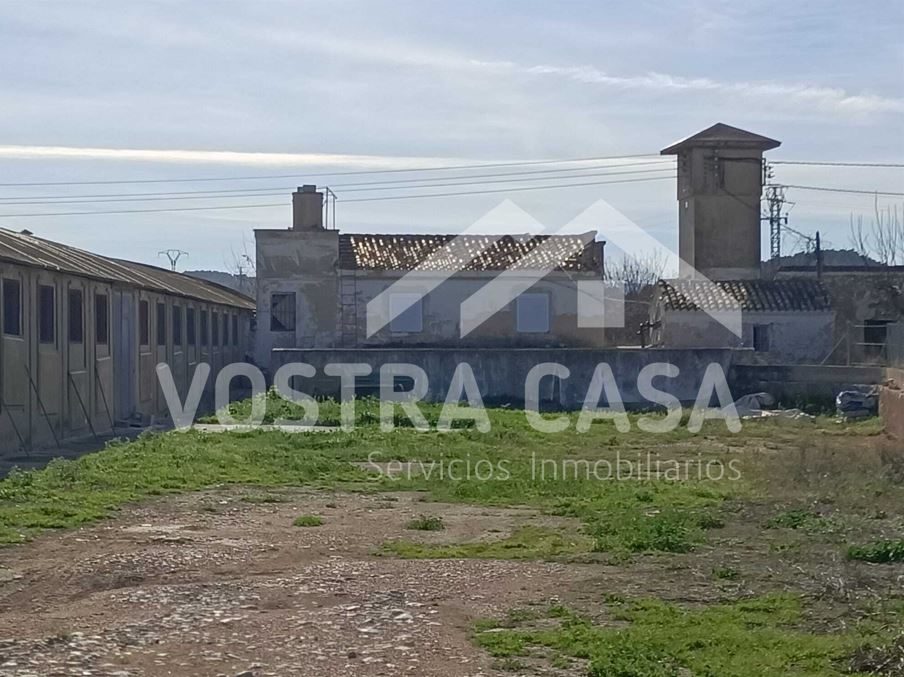 Imagen 6 de Chiva