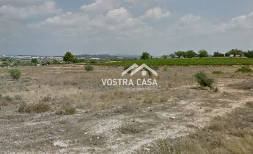 Imagen 4 de Chiva