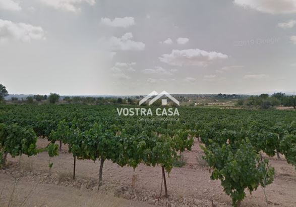 Imagen 6 de Chiva