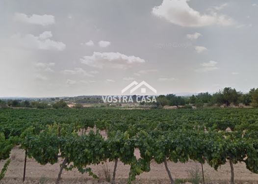 Imagen 3 de Chiva