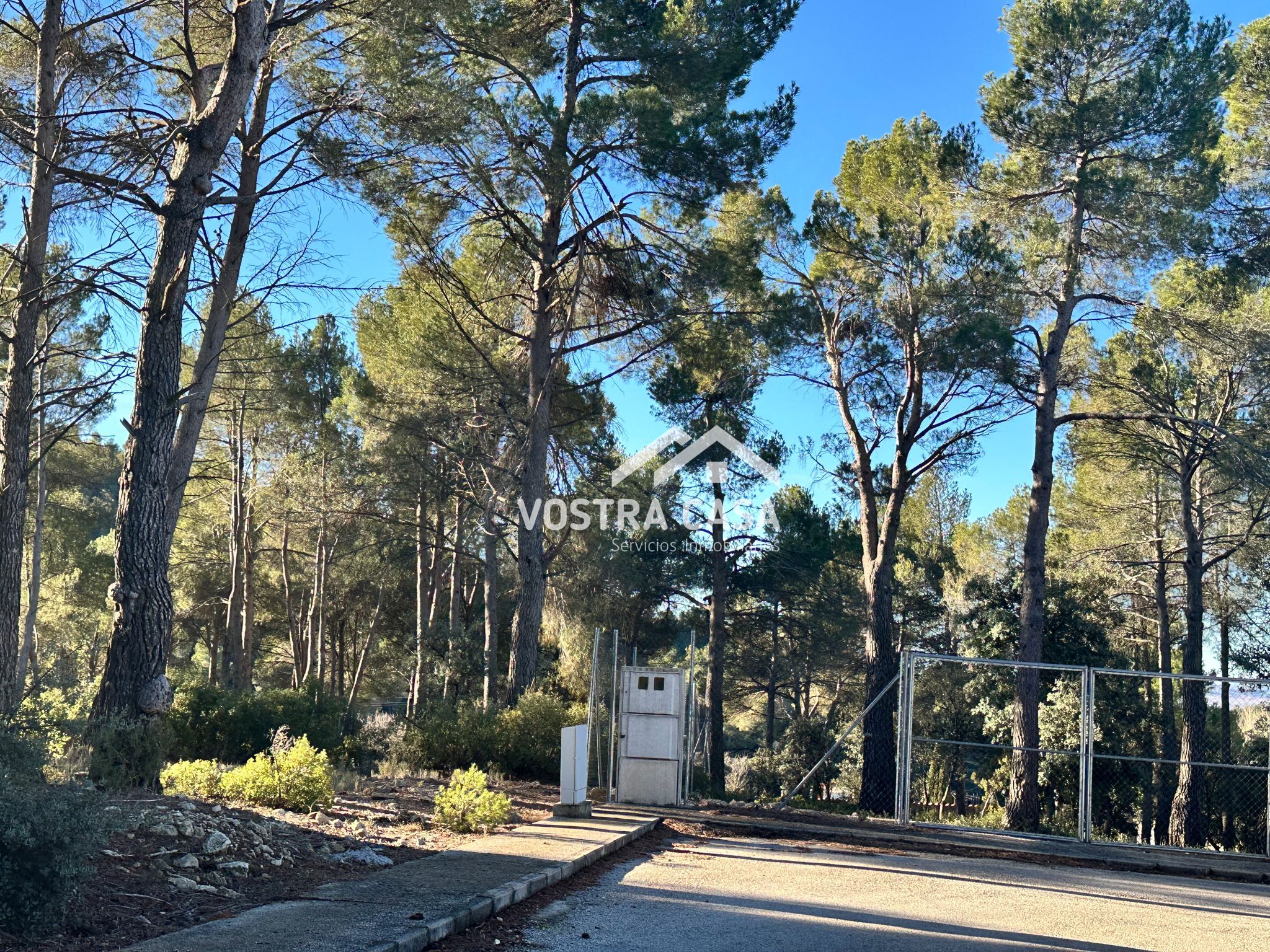 Imagen 8 de Utiel