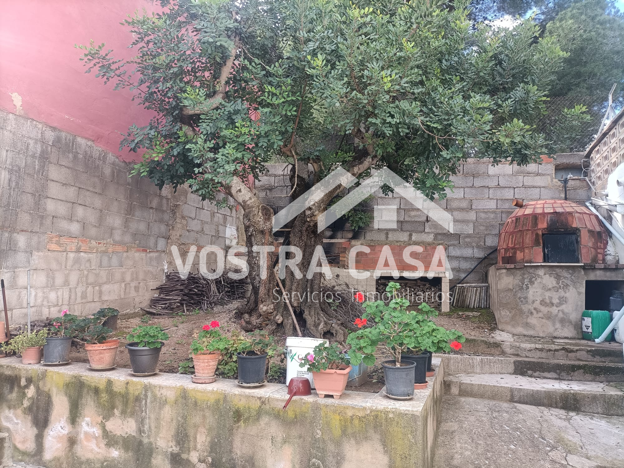Imagen 9 de Chiva