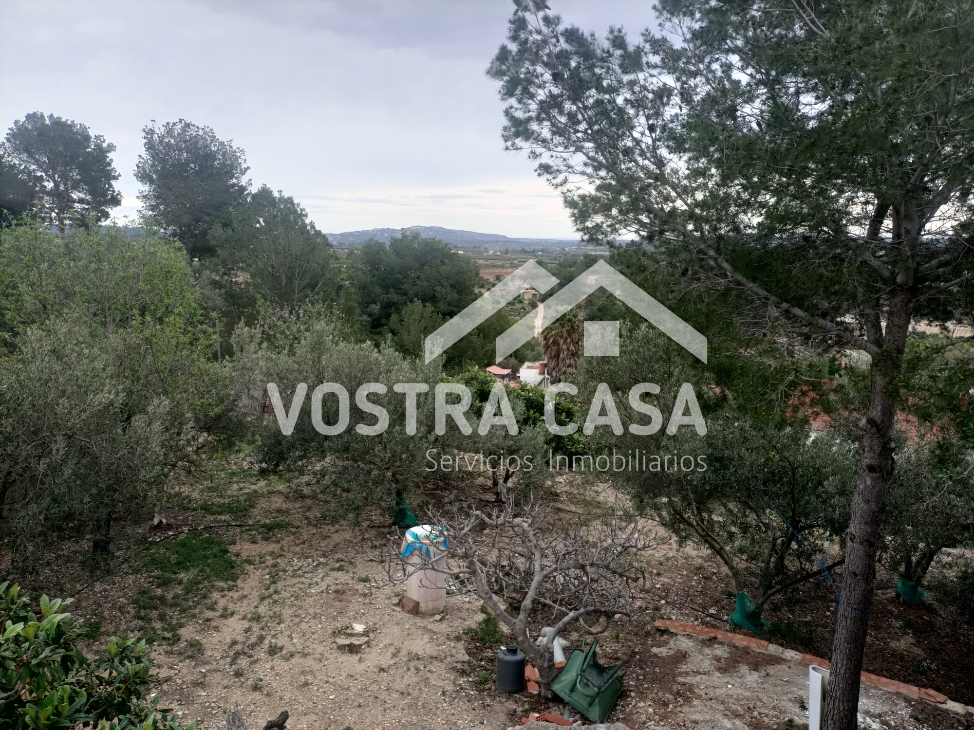 Imagen 8 de Godelleta