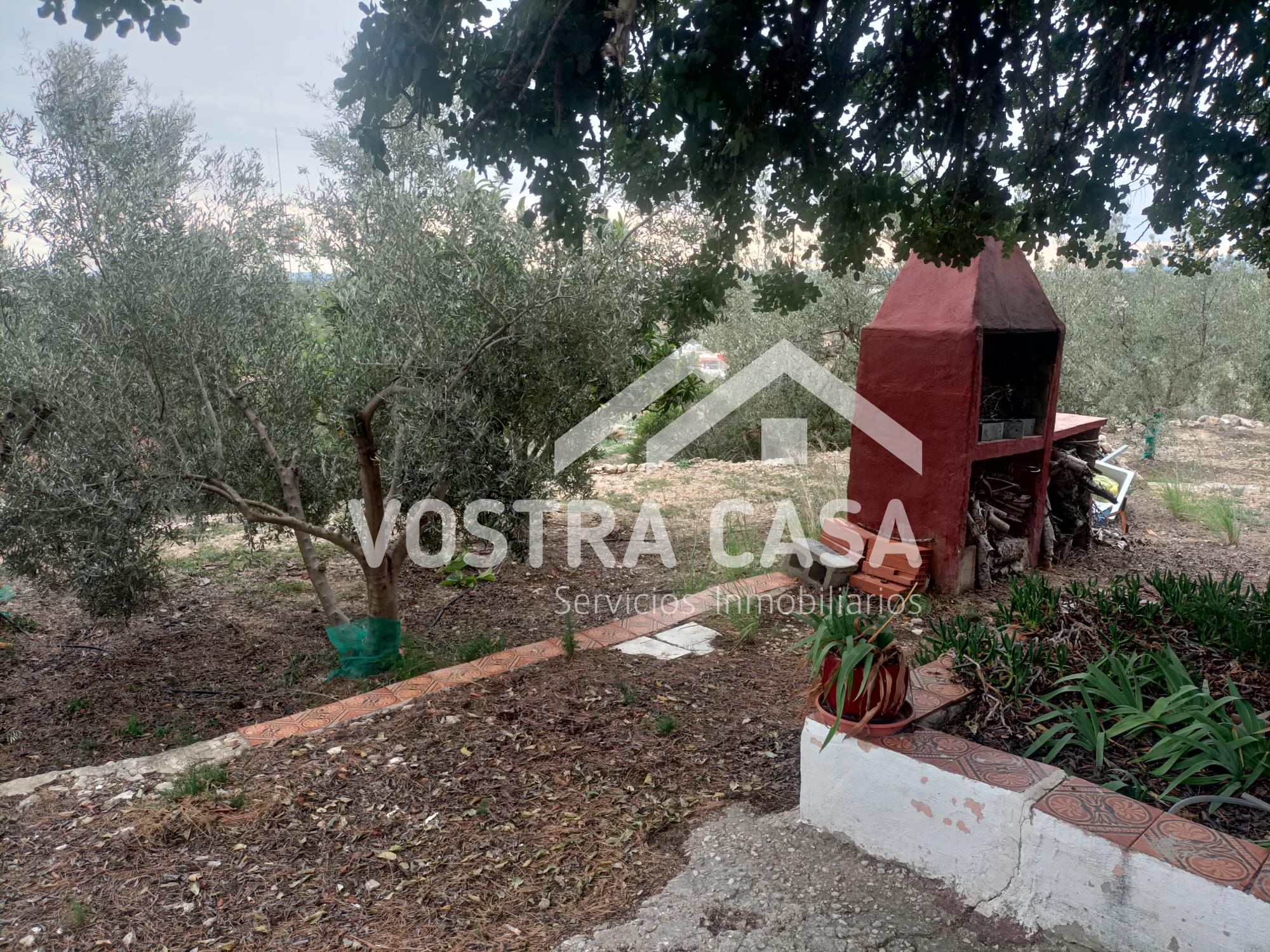 Imagen 10 de Godelleta