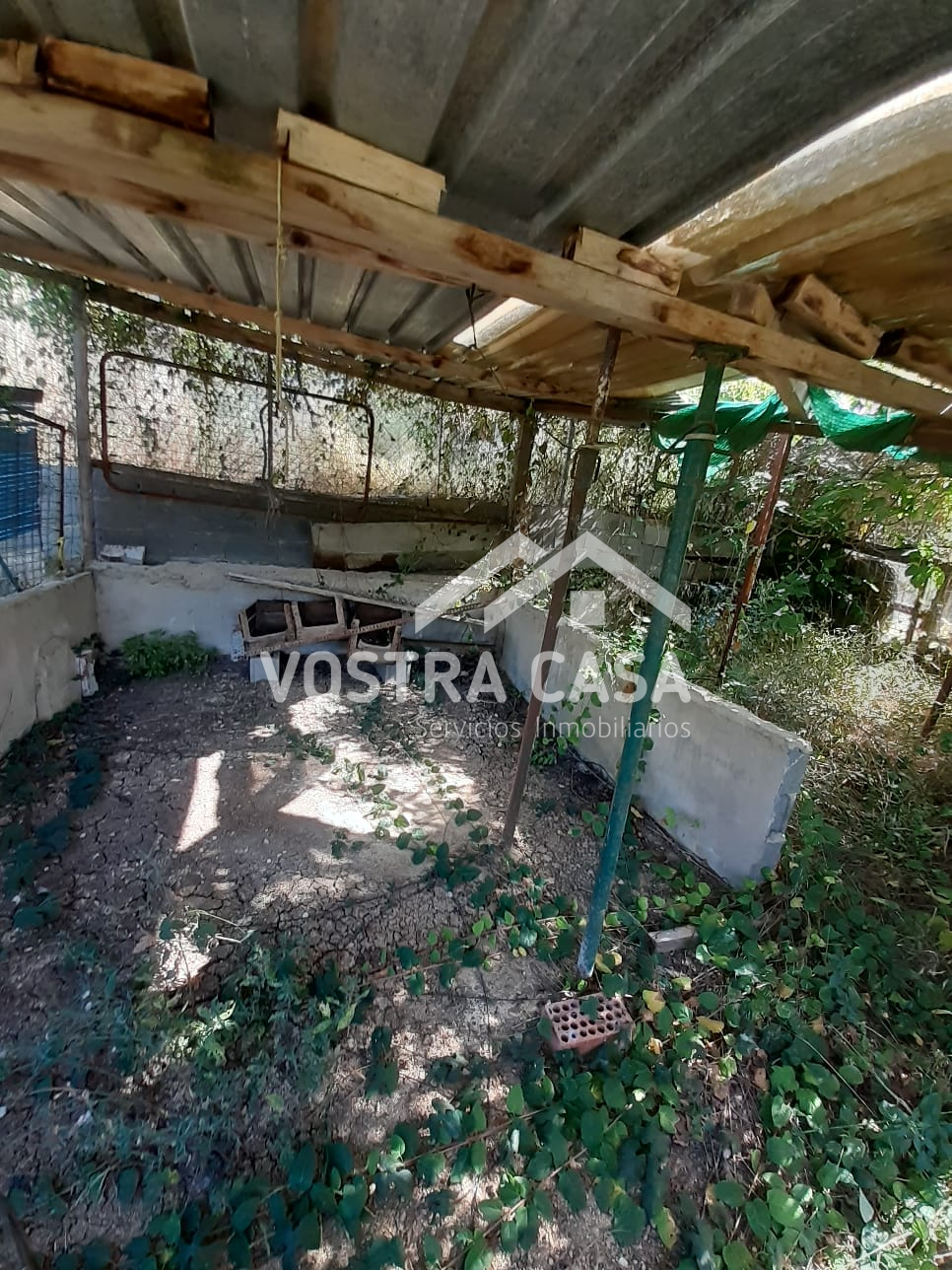 Imagen 42 de Turís
