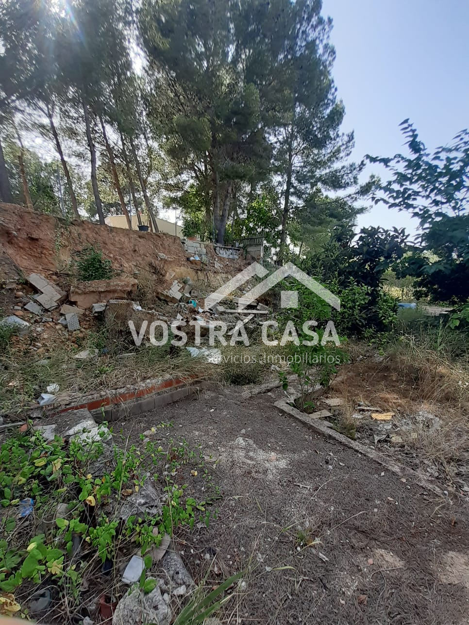 Imagen 43 de Turís