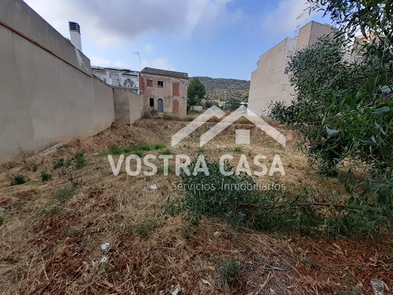 Imagen 5 de Monserrat