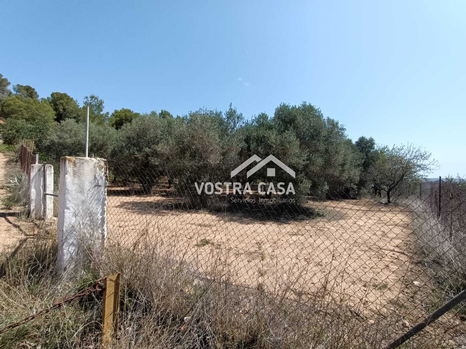 Imagen 24 de Montroy